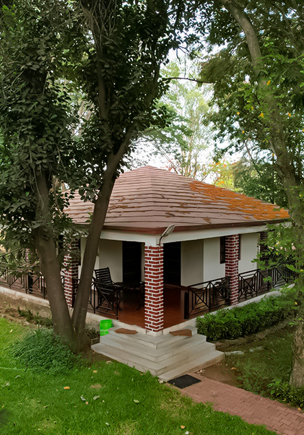 Garden Area
